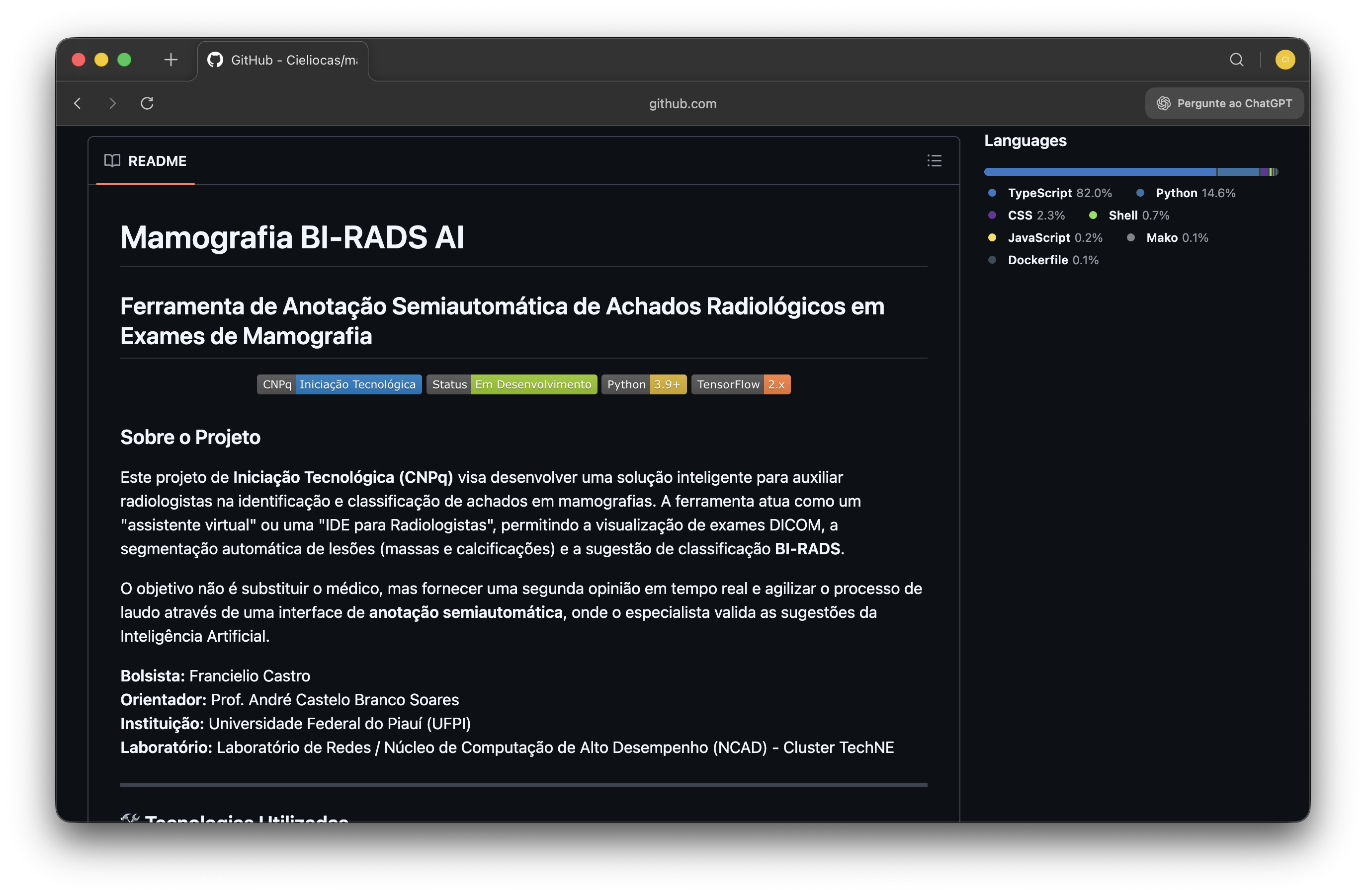 Interface principal do projeto Mamografia BI-RADS AI